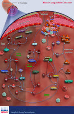 Formulation to prevent coagulation