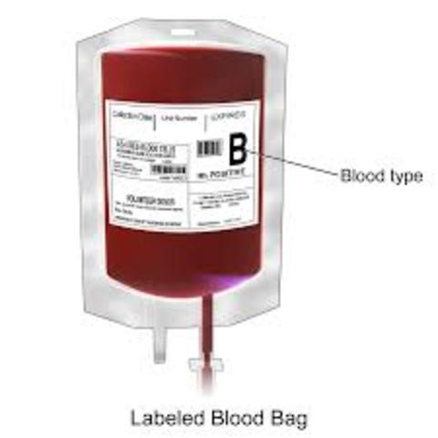 Barcelona Blood Transfusion Service