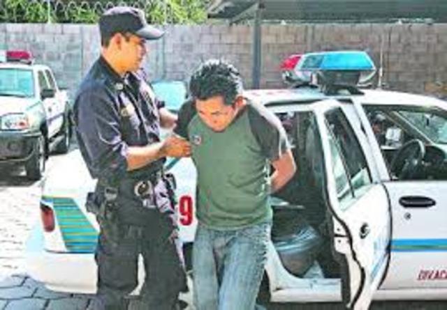 Amplitud del articulo 12.