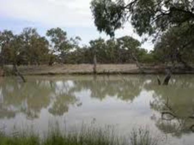 bushrangers outlawed in new south wales