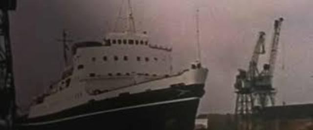 Grandma Arrives In New York