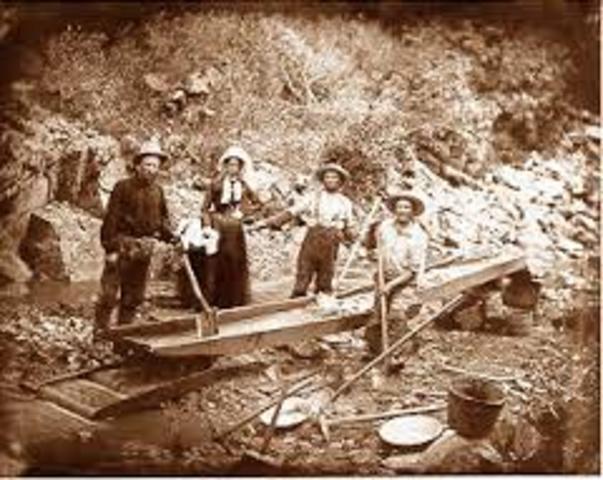 The California Gold Rush