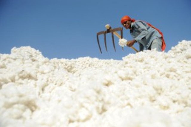 Overproduction of cotton