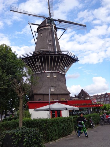 Vacaciones en Holanda