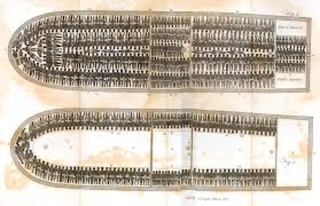 Plan and Sections of a slave ship