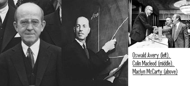 Avery , McCarty, MacLeod