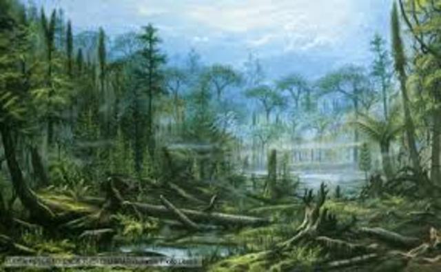 Carboniferous/ Mississippian
