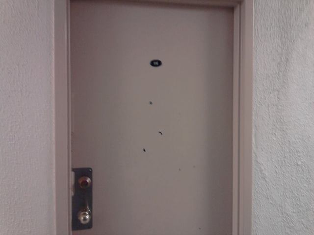 My family immigrated to Canada