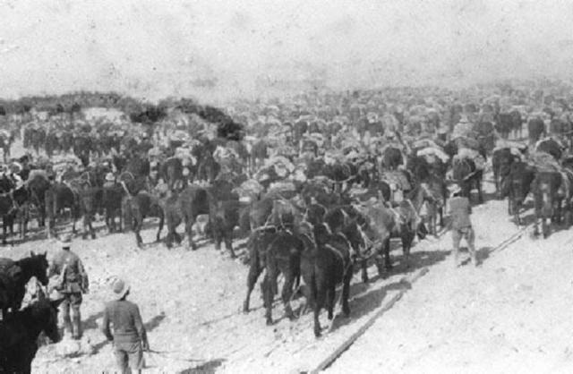 The Battle of Beersheba