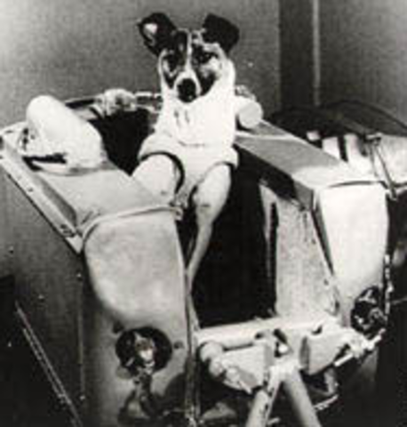 First Animal in Space