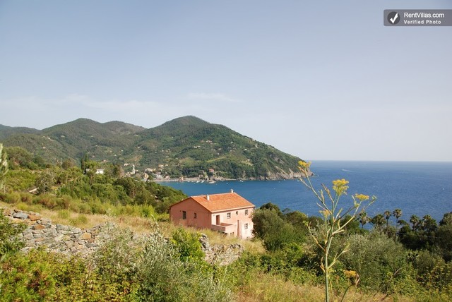 2 Months Before the Murder