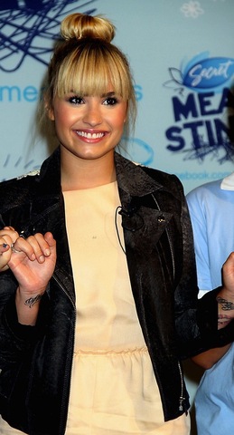 Demi Lovato Mean Stinks