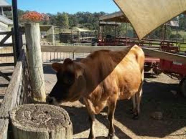 Change of Owner and Improvement