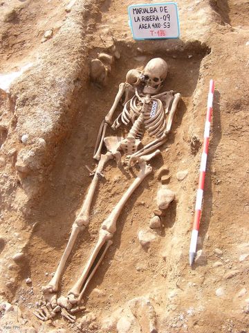 SOCIEDAD CIENCIA Y CULTURA ( encontrados en atapuerca los restos humanos mas antiguos de europa)