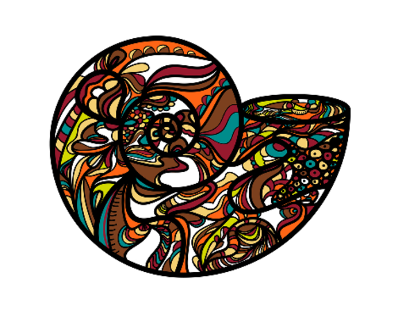 Nacimiento de Universidades