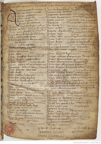 lenguas diferentes del latin fueron apareciendo