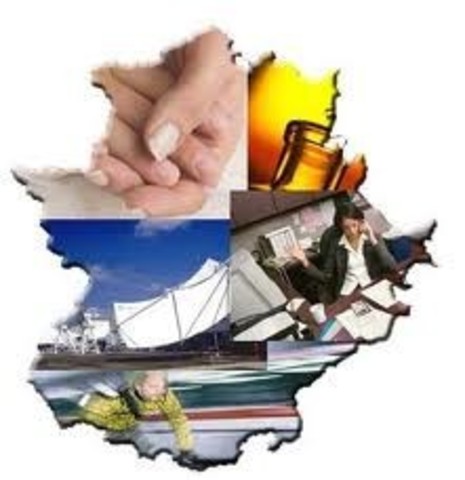 LICENCIA ANTE EL ICFES