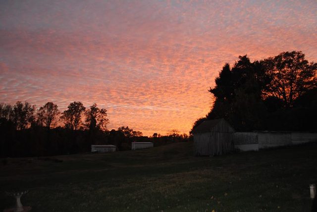 Moving back to Calvert County