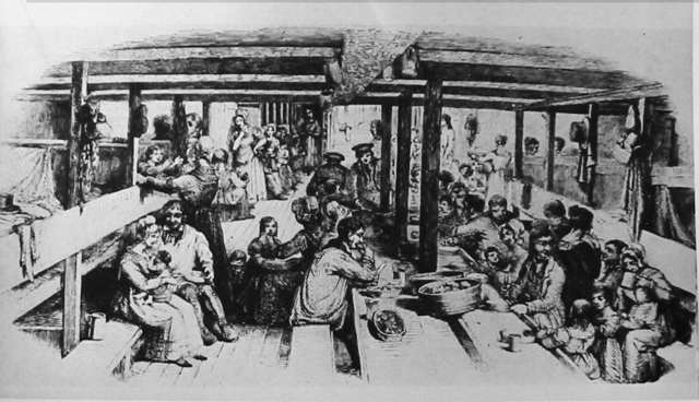 Groups of Immigrants That Came to US