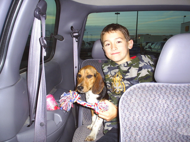 Adopted my second dog Spike