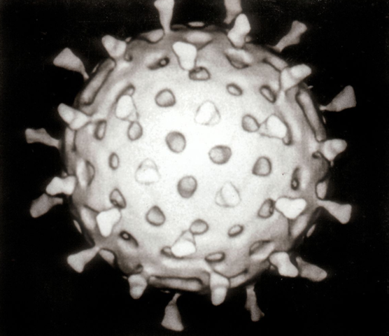 First Vaccine for Hepatitis A