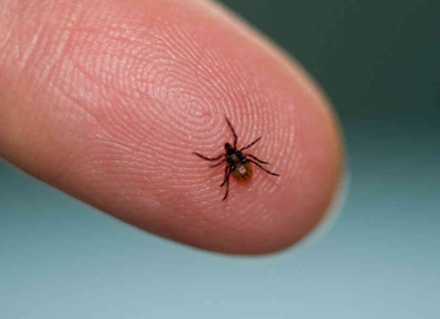 First Vaccine for Rotavirus