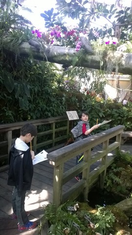 Botanic Gardens 3rd grade trip!