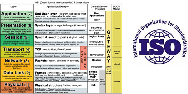 ISO lanza el modelo y los protocolos OSI; los protocolosdesaparece pero el modelo ejerce gran influencia