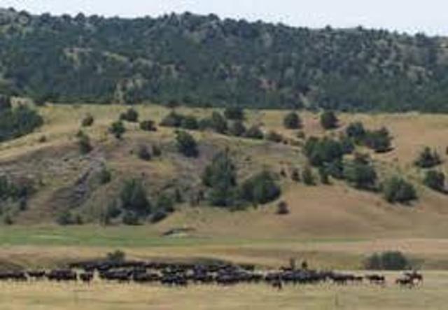 the time I went to sonth dakote