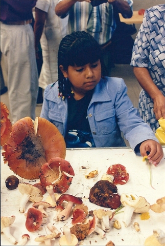 Fomento de actividades Culturales