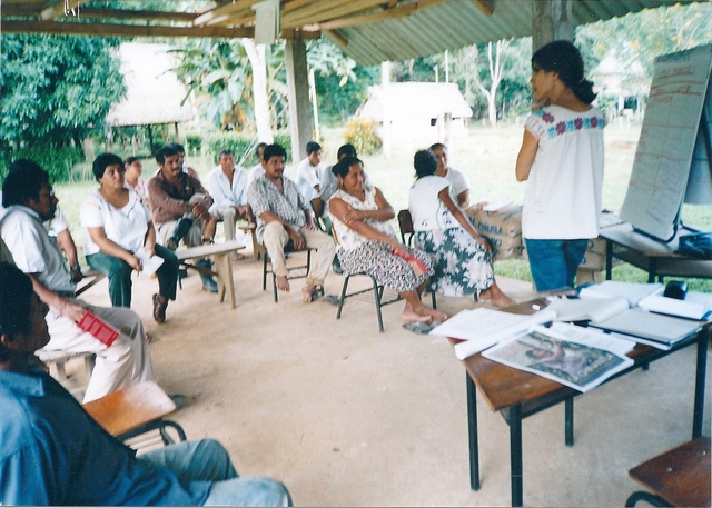 Diseño e implementación del Programa DemiRegión.