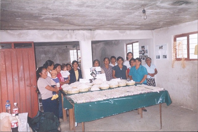 Apoyo en el crecimiento de organizaciones