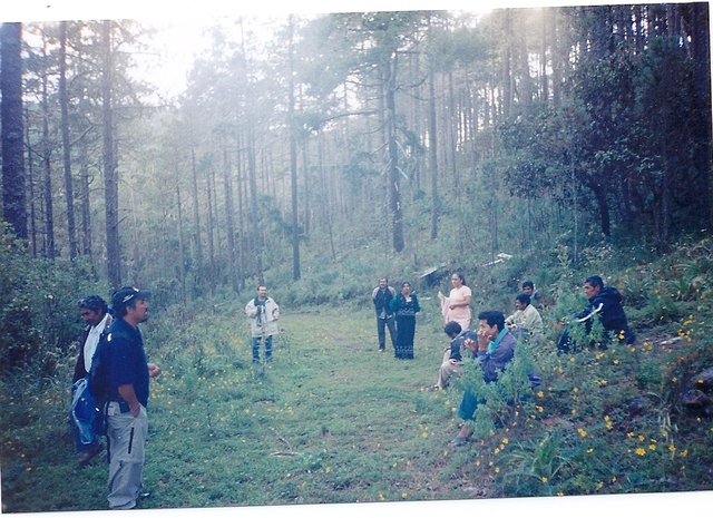 Intercambios de experiencias