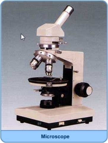 Cells and microscope