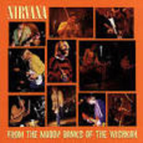 From the Muddy Banks of the Wishkah