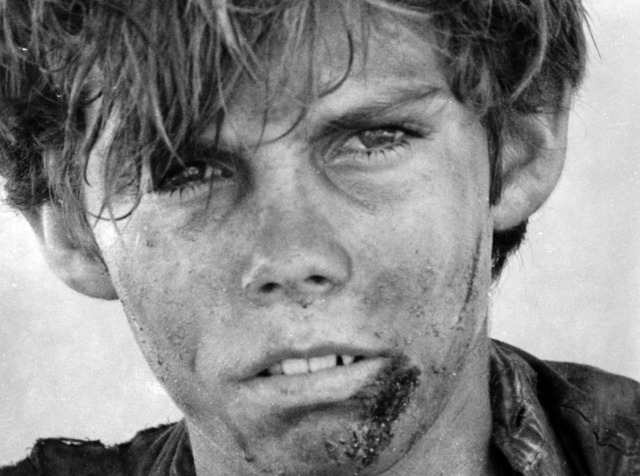 Ralph is elected leader of the tribe