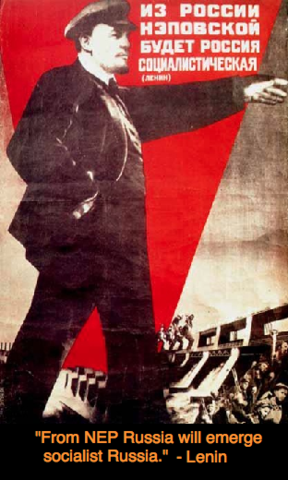 Implementation of the NEP