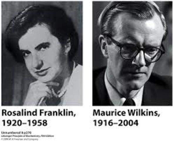Rosalind Franklin and Maurice Wilkens