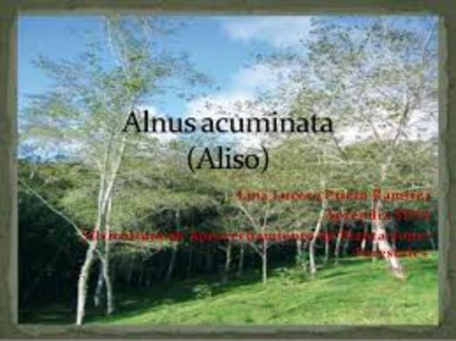 DESCRIPCION DE HOLDRIDGE EN EL SISTEMA