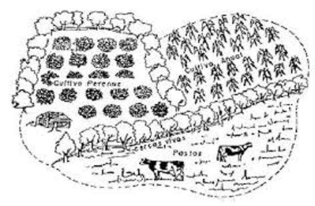 SISTEMA AGOSILVOPASTORIL