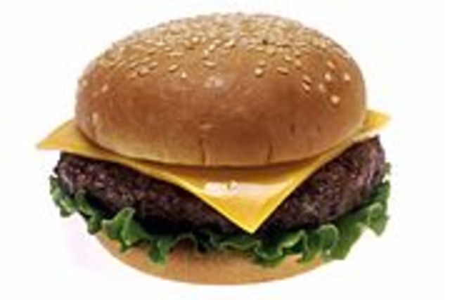 Cheeseburger