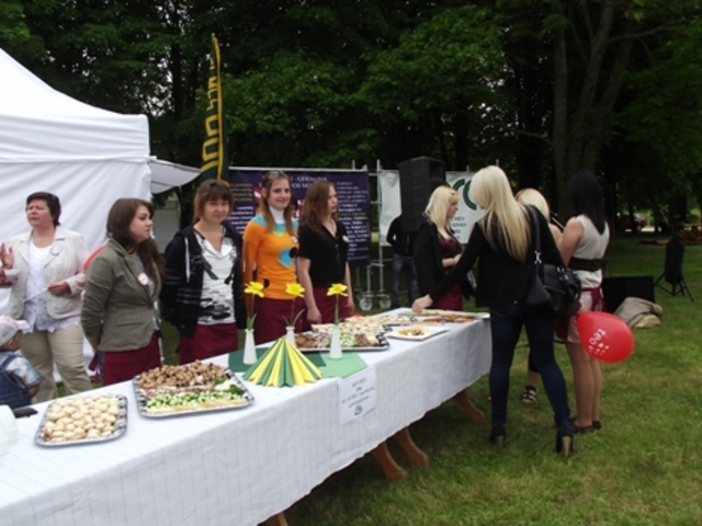 Liaudies meno šventė