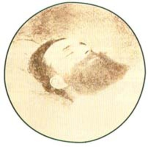 Muere José Asunción Silva.