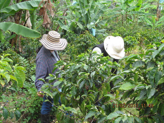 Contacto con vida rural