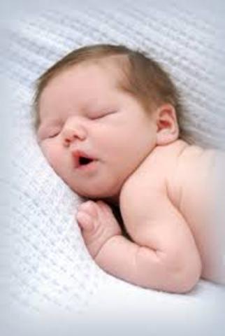 etapa de recien nacido