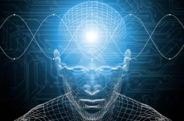 Inicio del estudio de anatomia cerebral