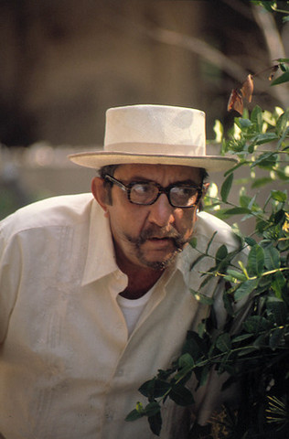 Incurso en el cine y teatro