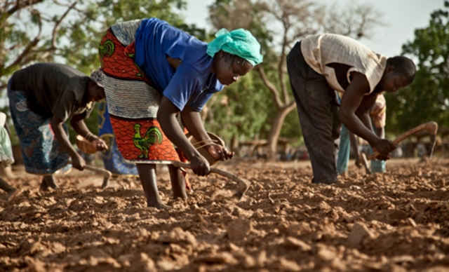 Importaciones anuales se incrementaron