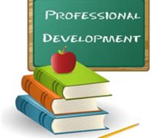 Became an Instructional Facilitator