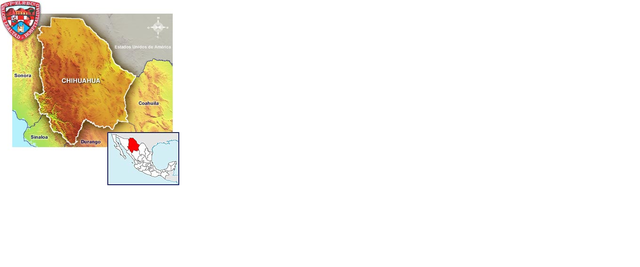 1994 Primero Decreto para Chihuahua